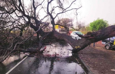 मराठवाडय़ात वादळी वाऱ्यासह पाऊस ; बीड जिल्ह्य़ात वीज पडून दोघांचा मृत्यू